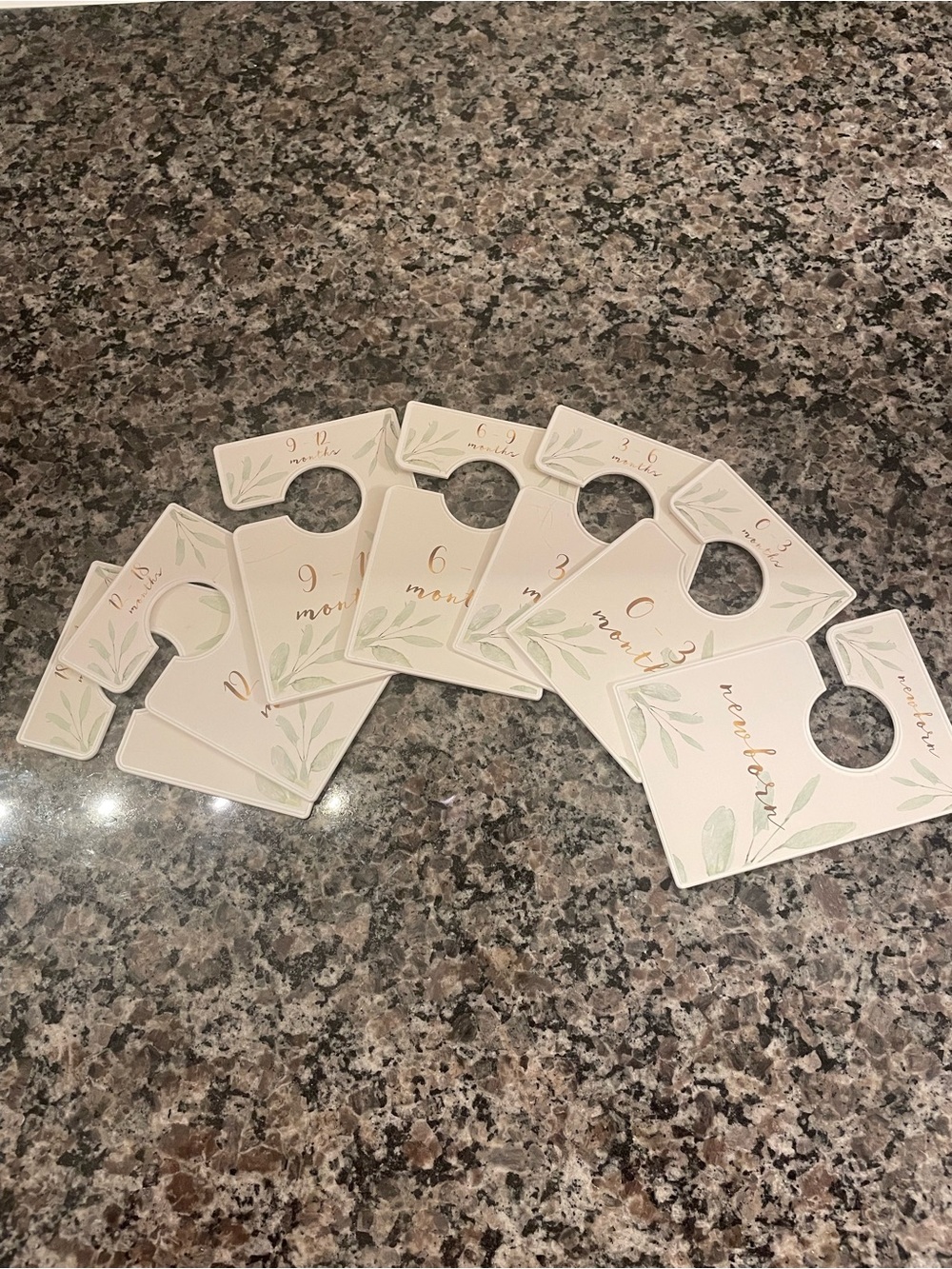 Neutral Botanical Baby Closet Dividers - Monthly Milestone Set